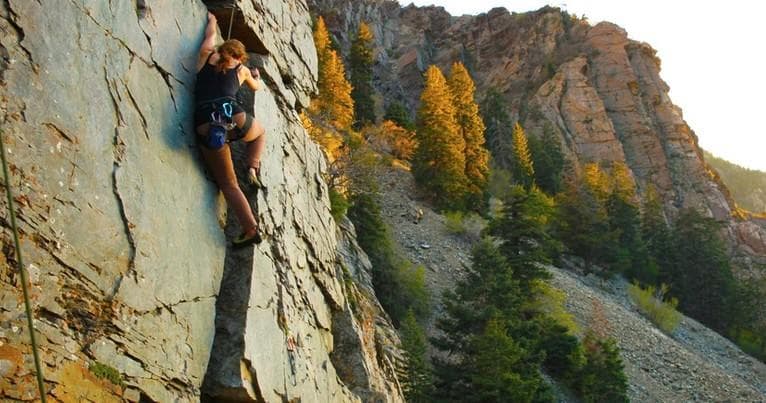 Half-Day Wasatch Rock Climbing in Cottonwood Heights, Utah