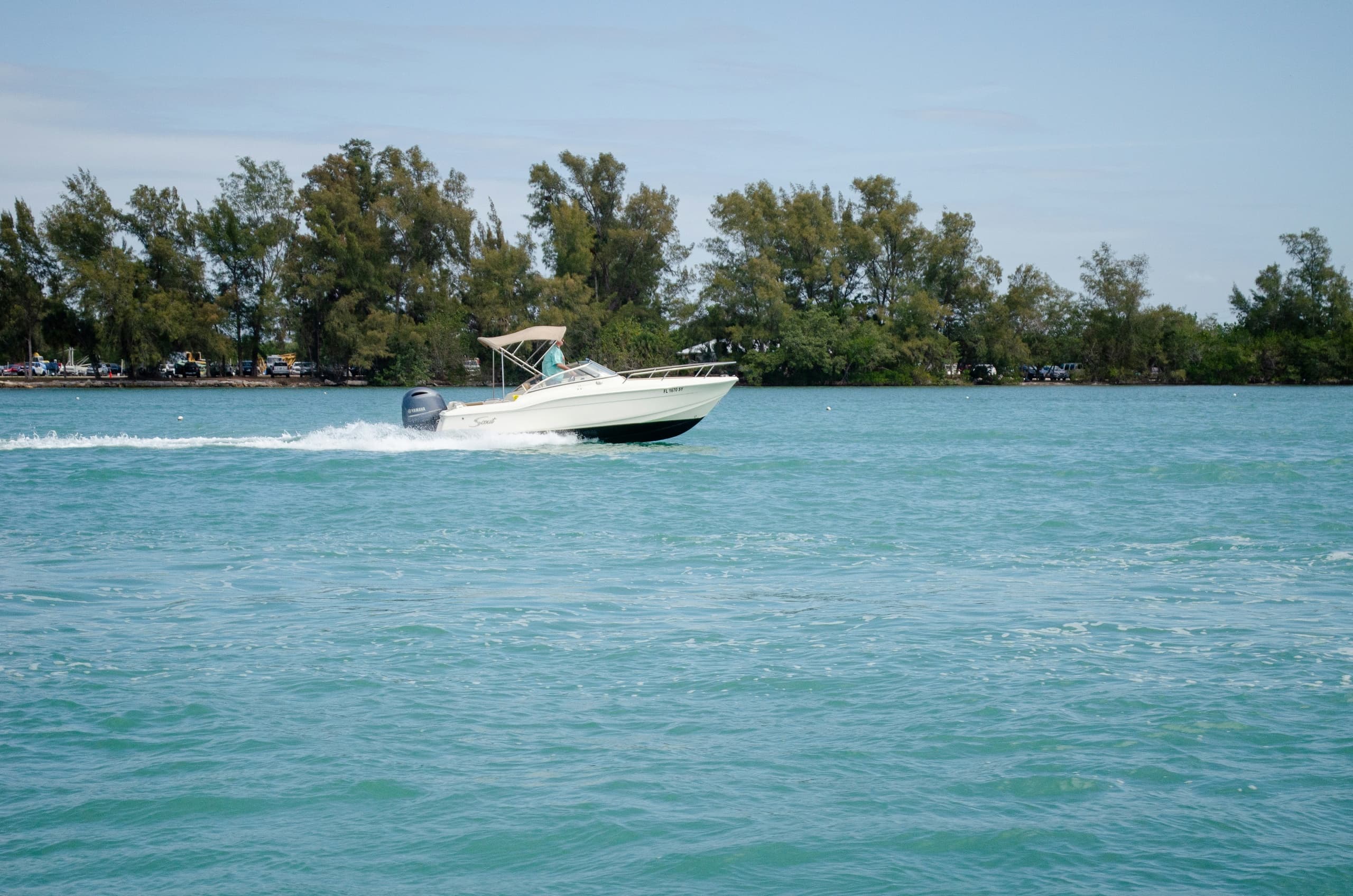 Speedboat cruising turquoise coastal waters near tree-lined shore