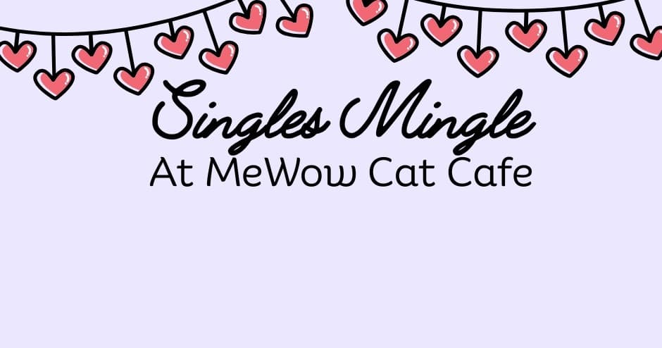 Singles Mingle: Quiet Cat-and-Conversation Evenings in Doylestown, PA