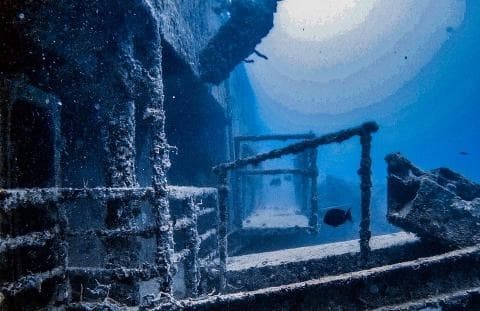 Wreck Diving Adventures with Paragon Diving in Big Pine Key