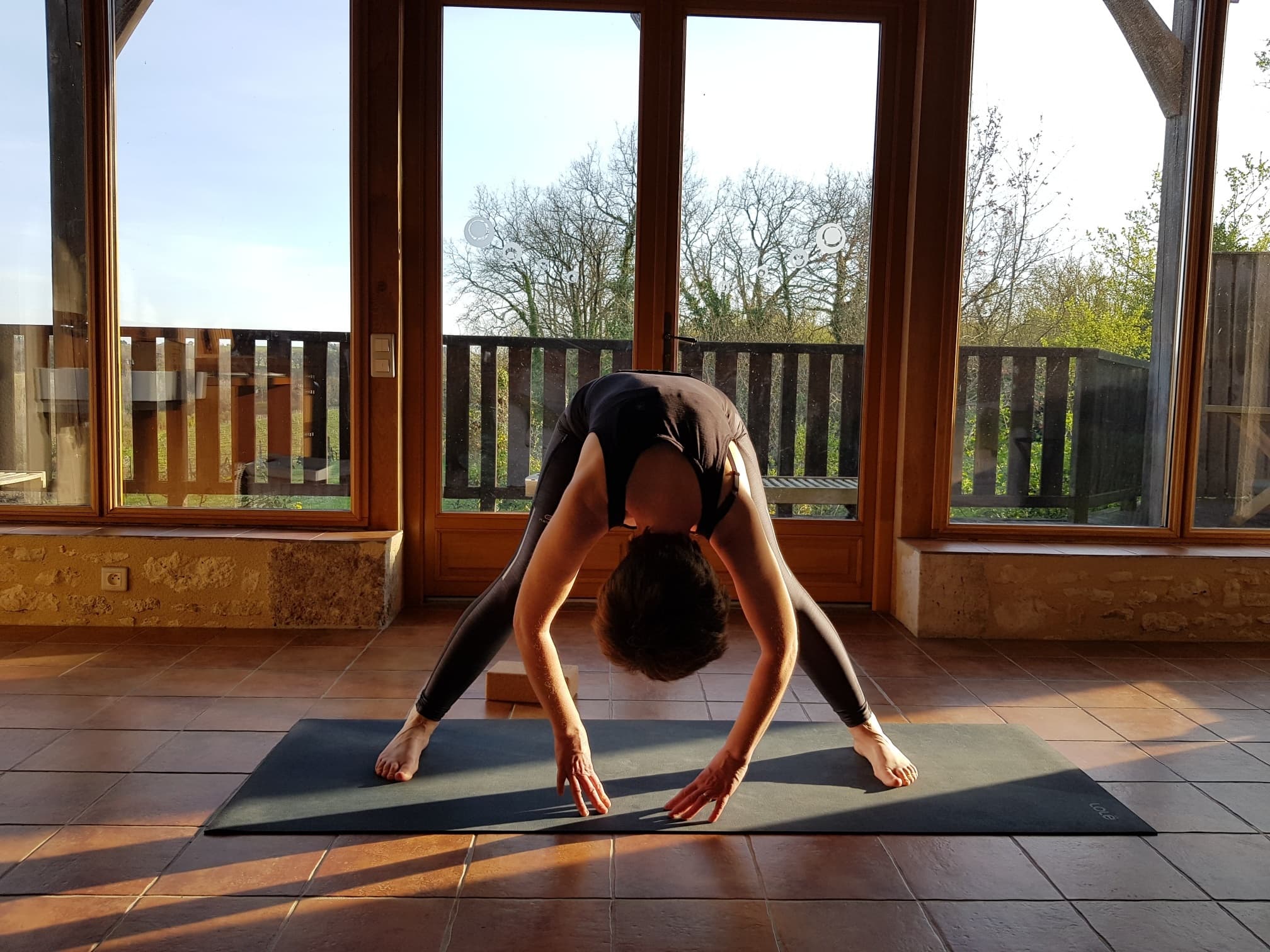 Vineyard-Inspired Online Yoga with Caro Feely — Weekly RYT500 Classes from Saussignac photo 1