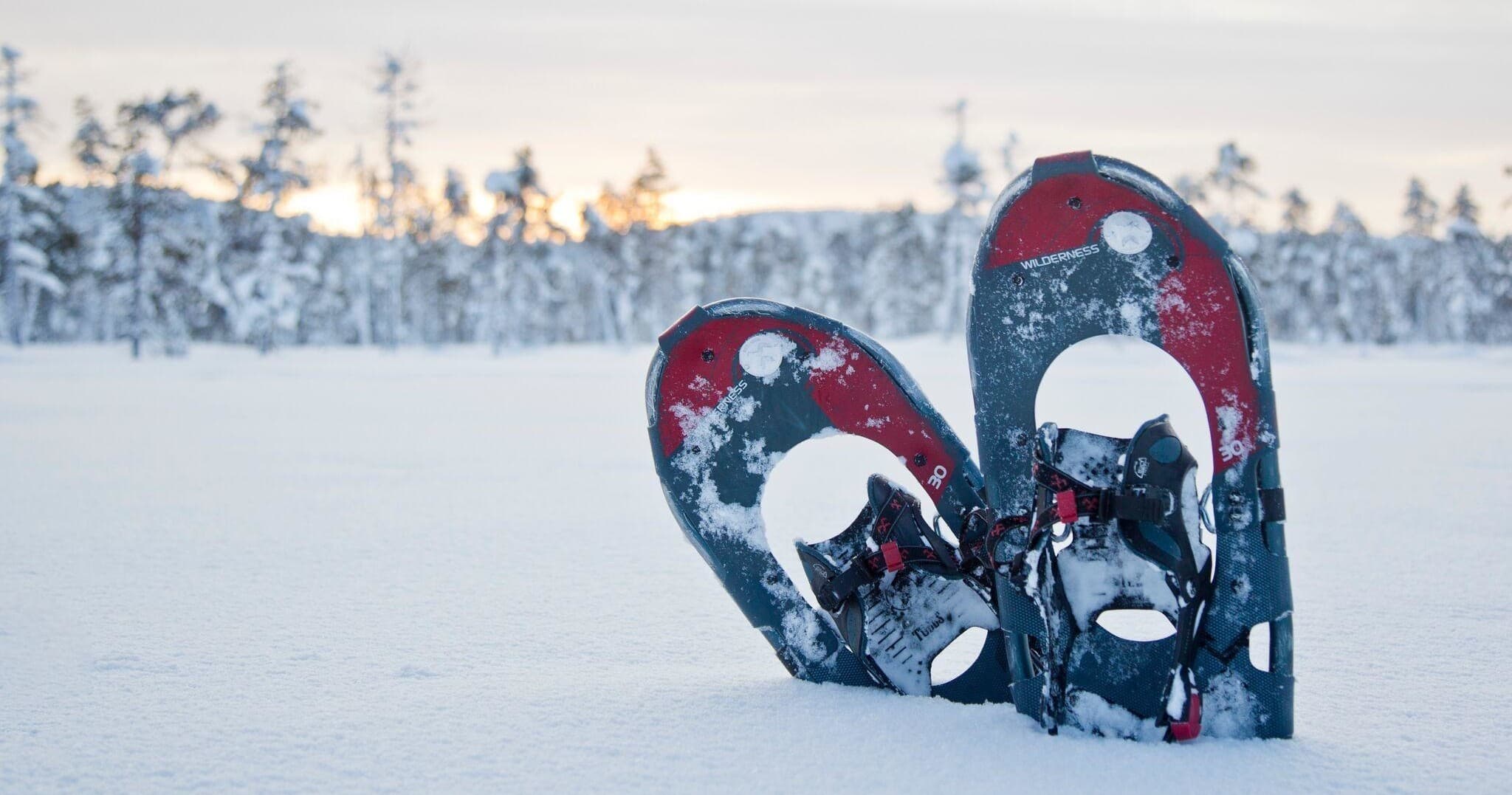 Winter Wildlife & Snowshoeing at Wilderness Hotel Muotka