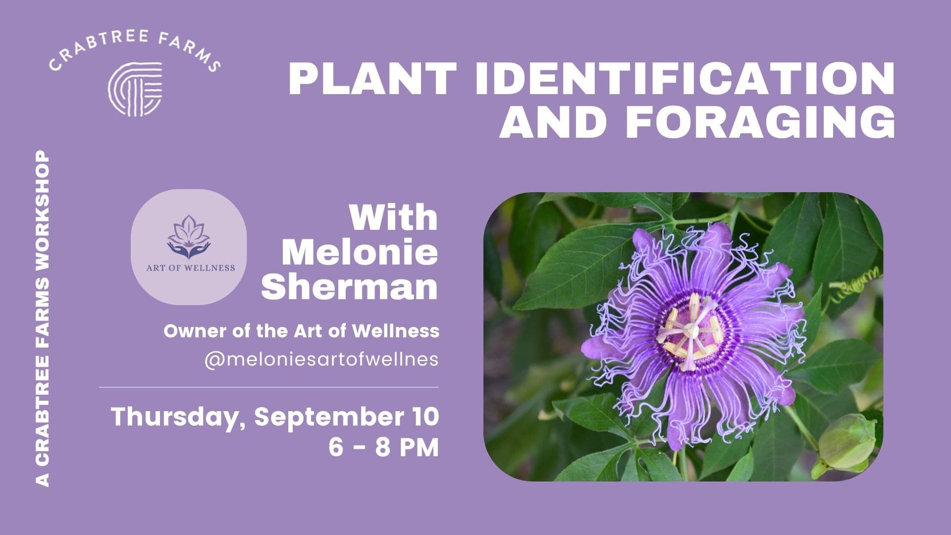 Healing Salve Workshop at Crabtree Farms, Chattanooga