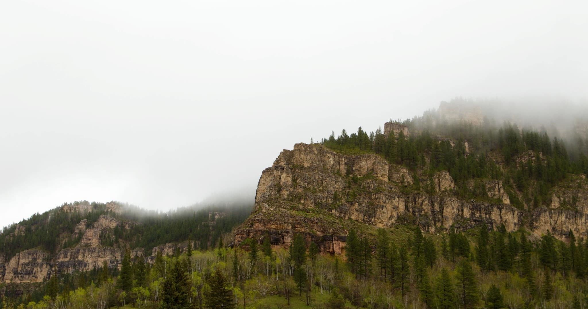 Spearfish Canyon Lodge team
