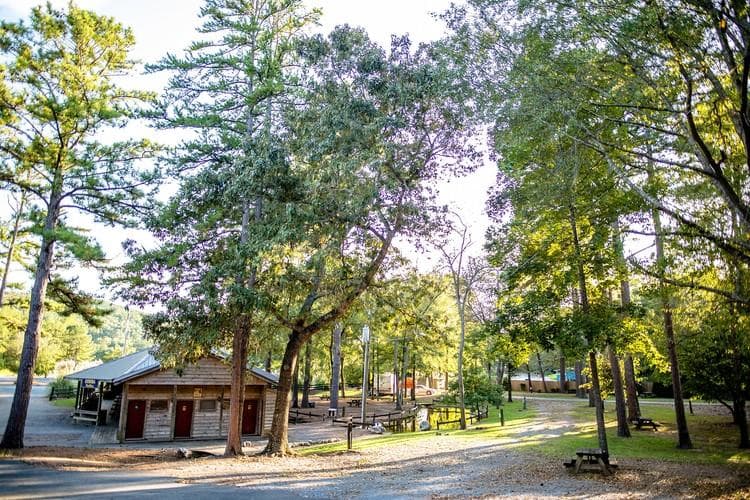 Wooded campground with cabins and tall pines at Desoto Caverns