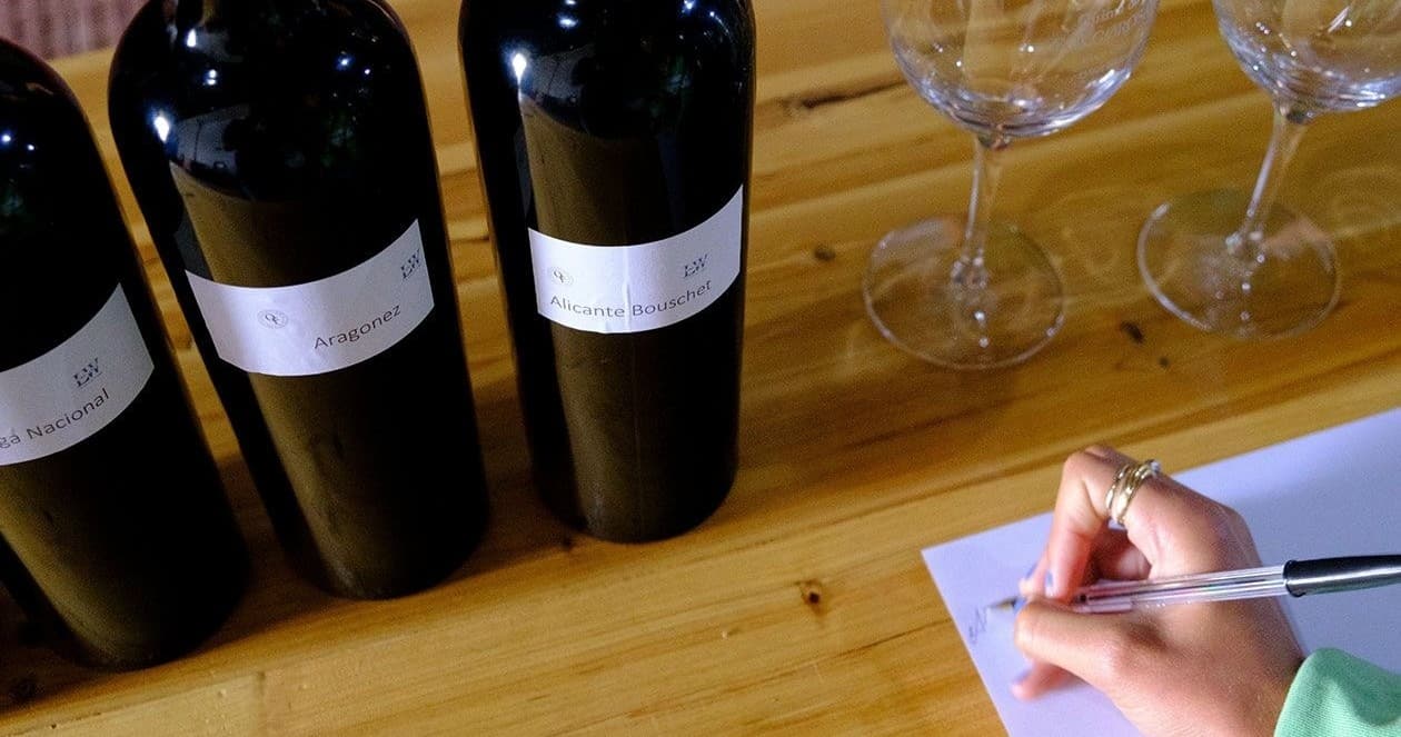 Wine & Vineyard Tour at Farm Experiences & Tours