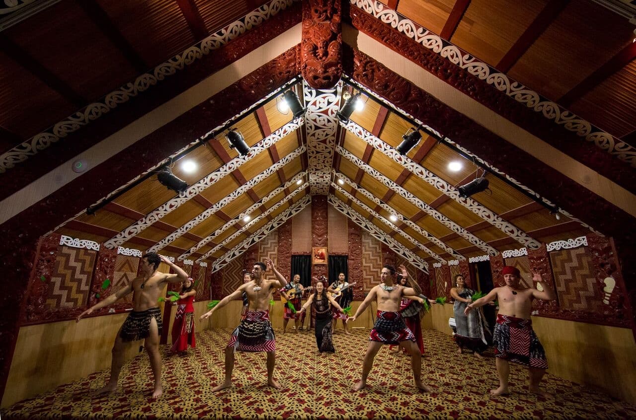 Geothermal Journey Auckland to Rotorua with Auckland & Beyond Tours