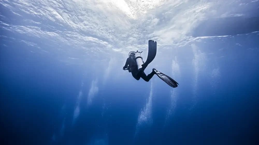 Costa Rica Dive Trip: Playa Hermosa Pinnacles & Arenal Volcano Adventure photo 3