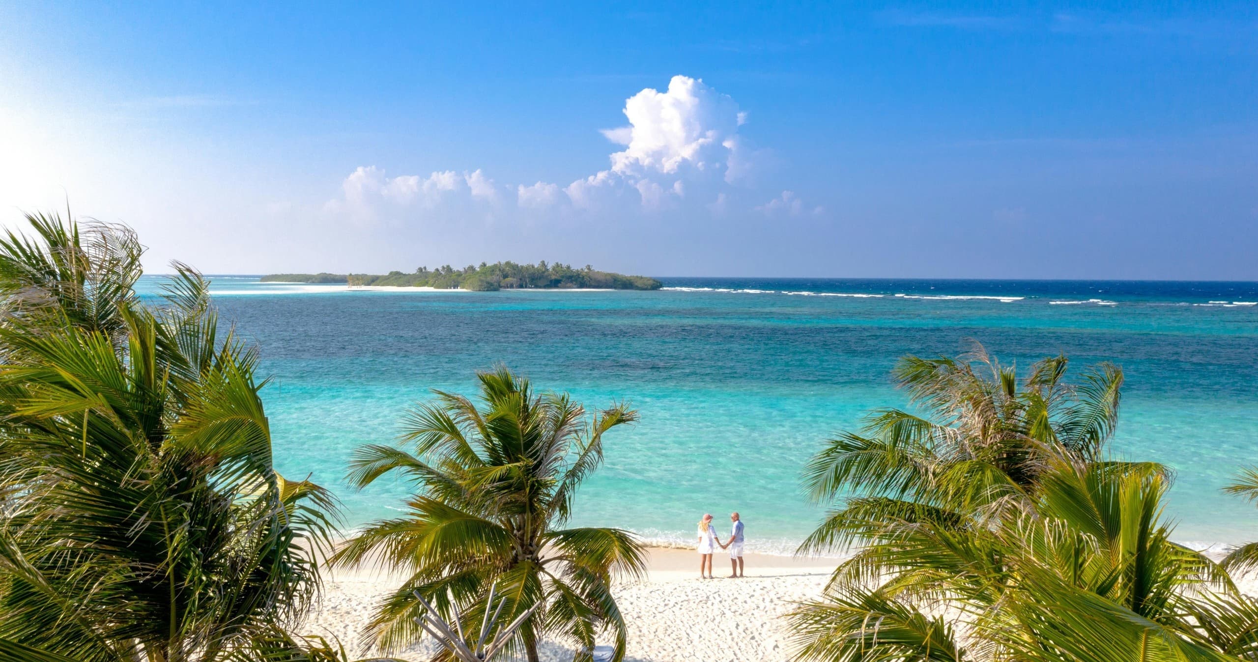Sunny palm-lined beach with white sand and island backdrop