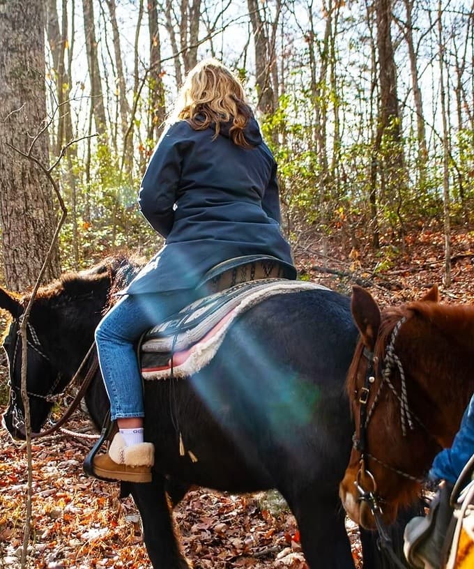 Full-Day Horseback Ride in Shenandoah: George Washington National Forest Experience