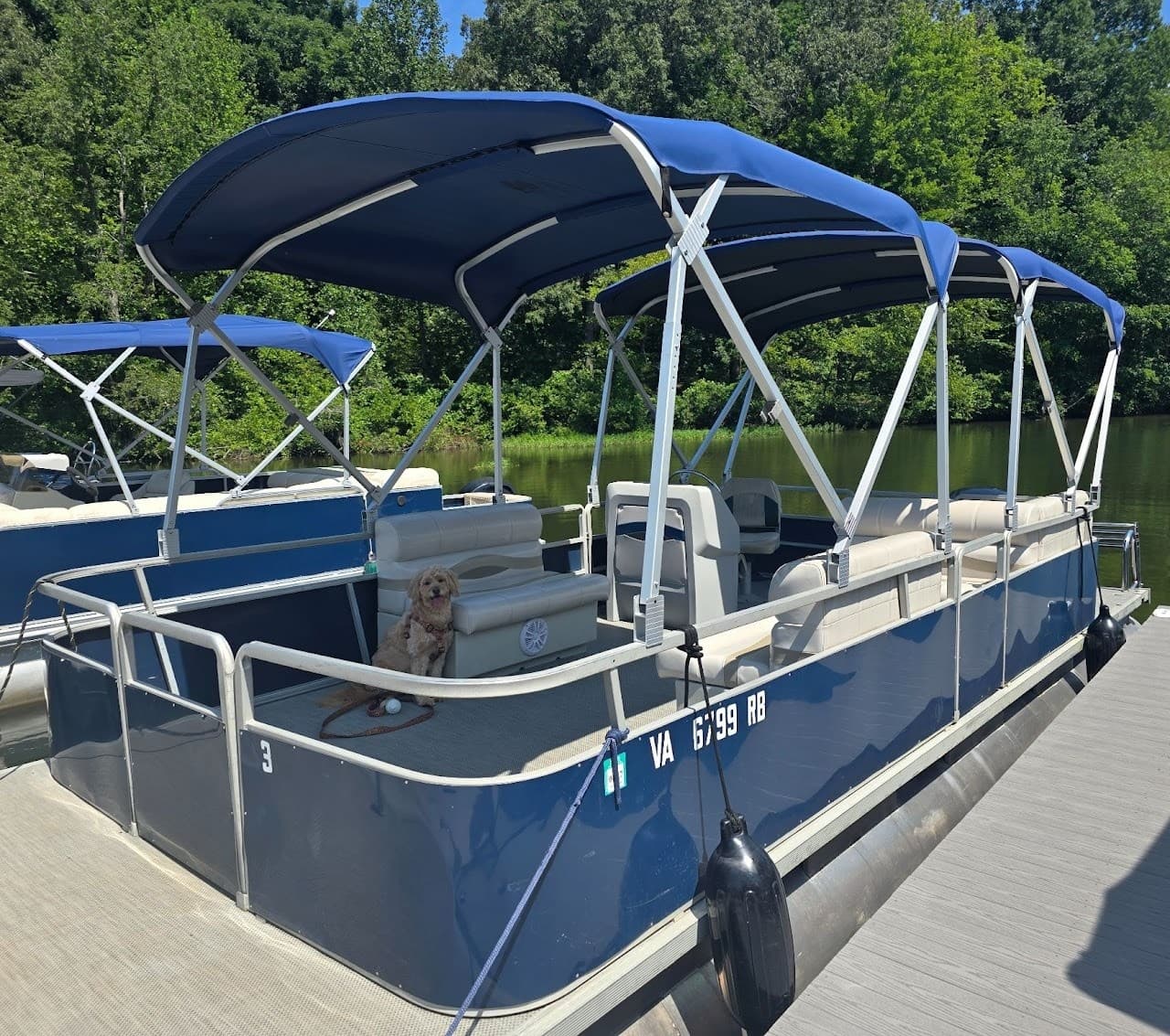 Affordable 90-HP Pontoon Rentals in Spotsylvania Courthouse, VA