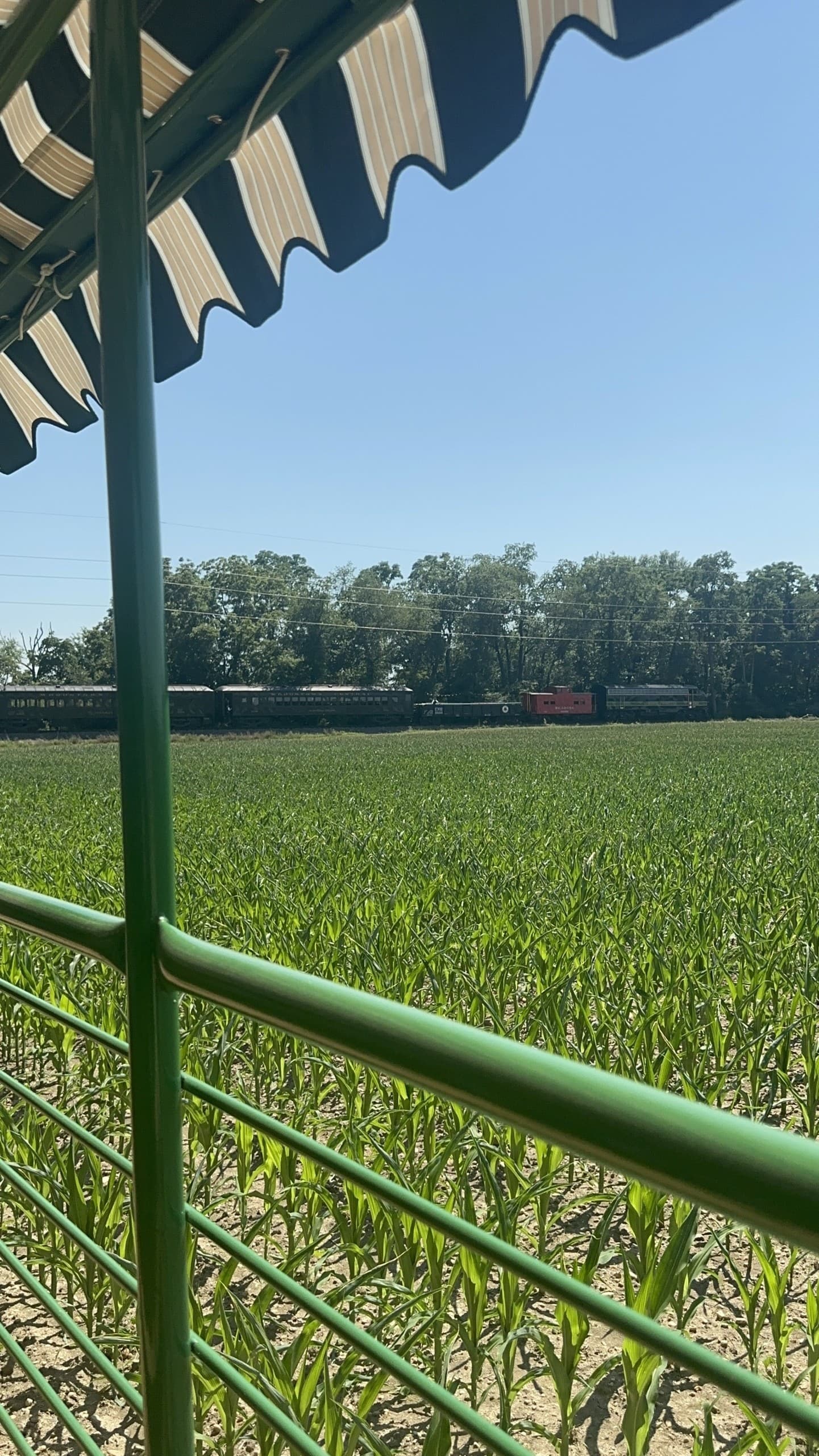 Historic Train to Bil-Dol Farm: Sunflower U-Pick & Patriotic Corn Maze in Salem County photo 1