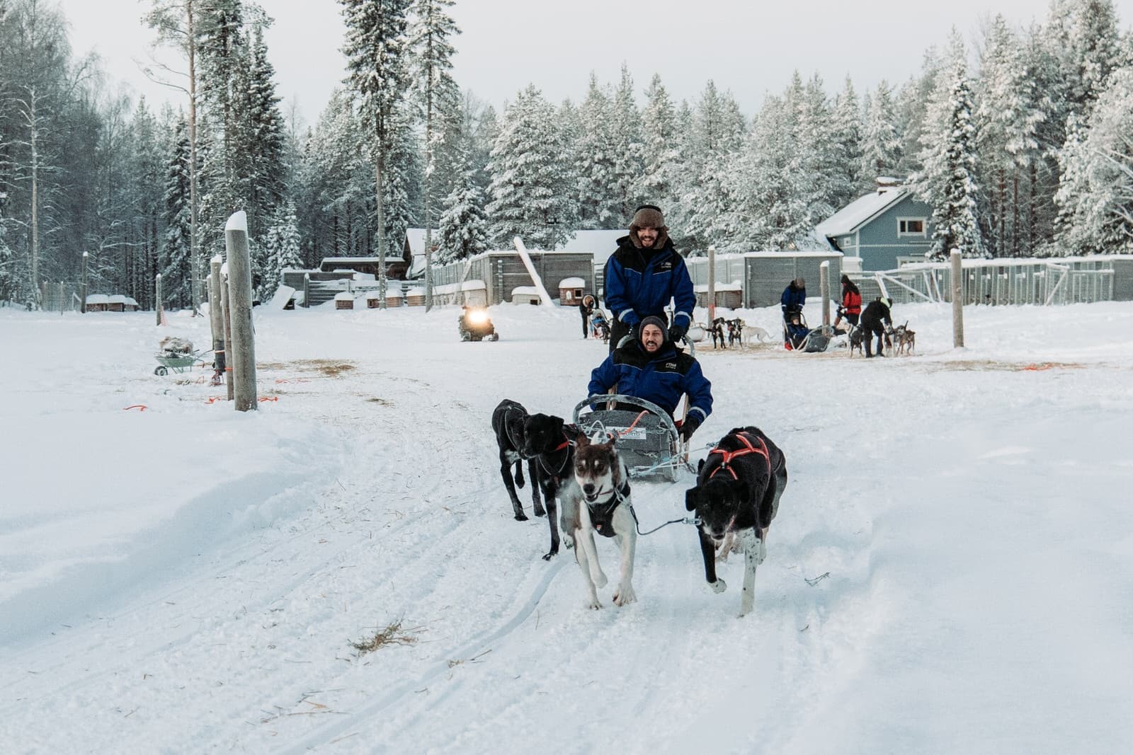 10 km Husky Safari at Pyhätunturi: 45-Min Sled Ride with Pyhä Husky Farm photo 2