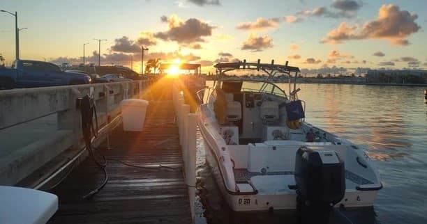 Sunrise marina with charter boats docked in Key West