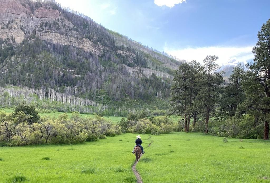 Solo horseback rider following trail across lush valley