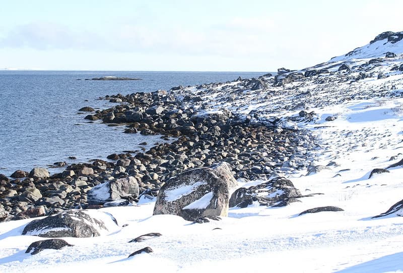 Land Adventures: Visit Bugøynes with Brannsletta Transfer by The Adventure Collective