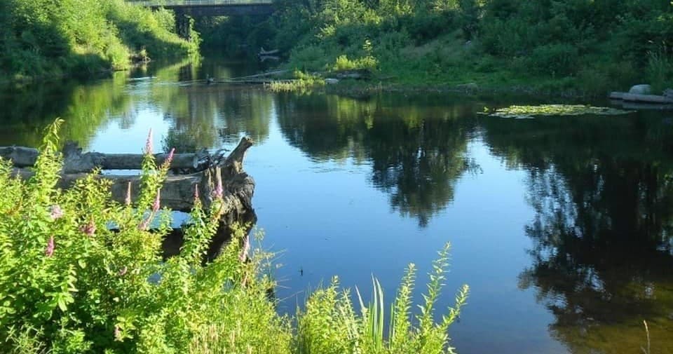 Serene river with kayak near lush green riverbank