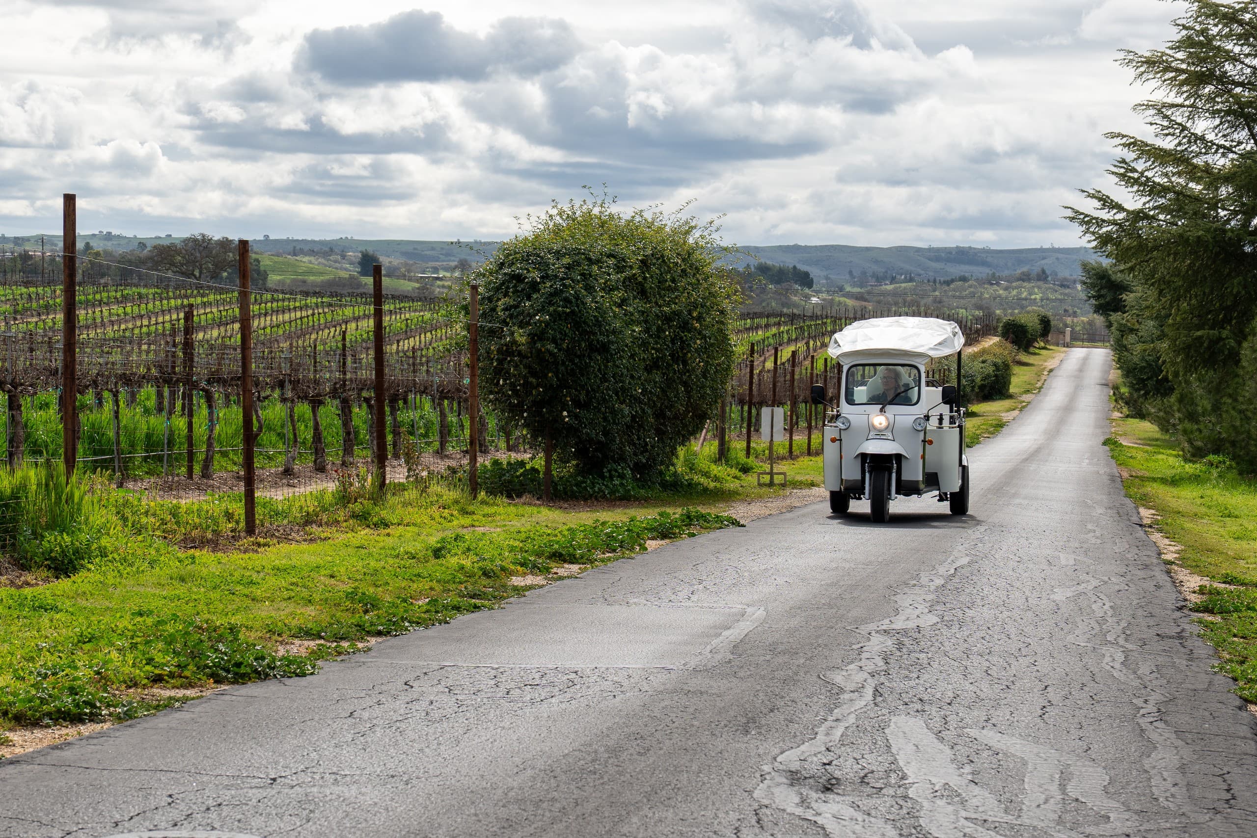 Paso Robles Tuk Tuk Winery Tour — Open-Air Vineyard Tastings at Cass Winery photo 3