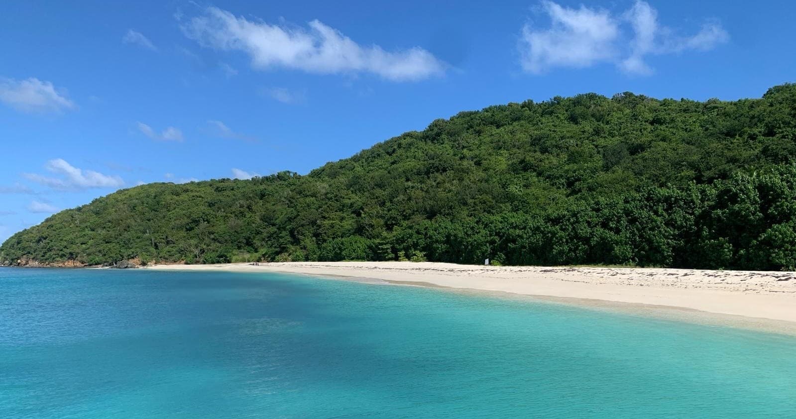 Half Day Palomino Island Boat Tour in Fajardo, Puerto Rico
