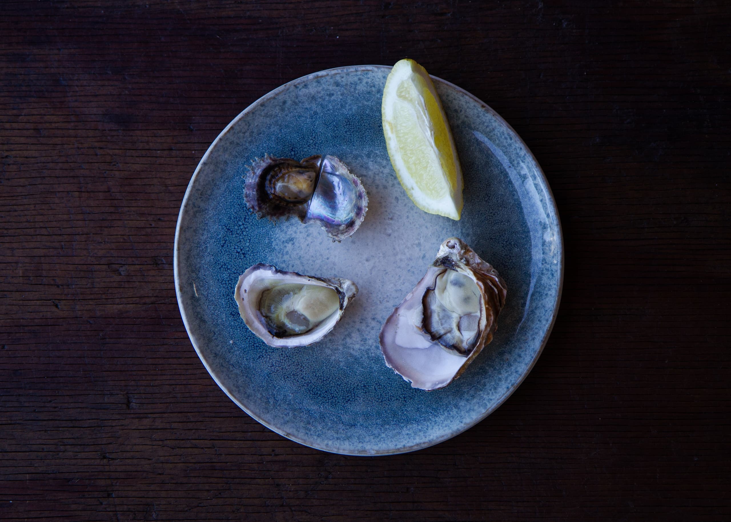 Oyster Tasting & Pearl Farm Tours at Broken Bay Pearl Farm