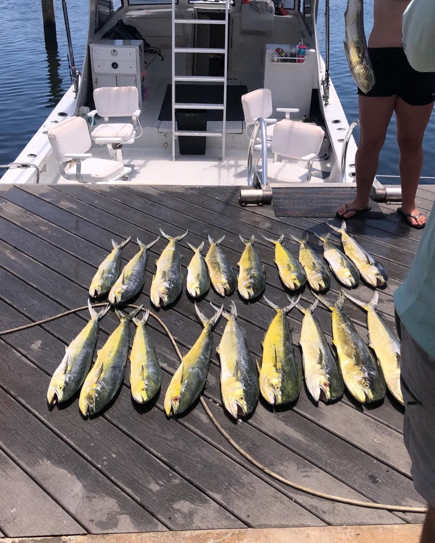 Fishing Shared Charter with Conch Too Charters LLC in Key West