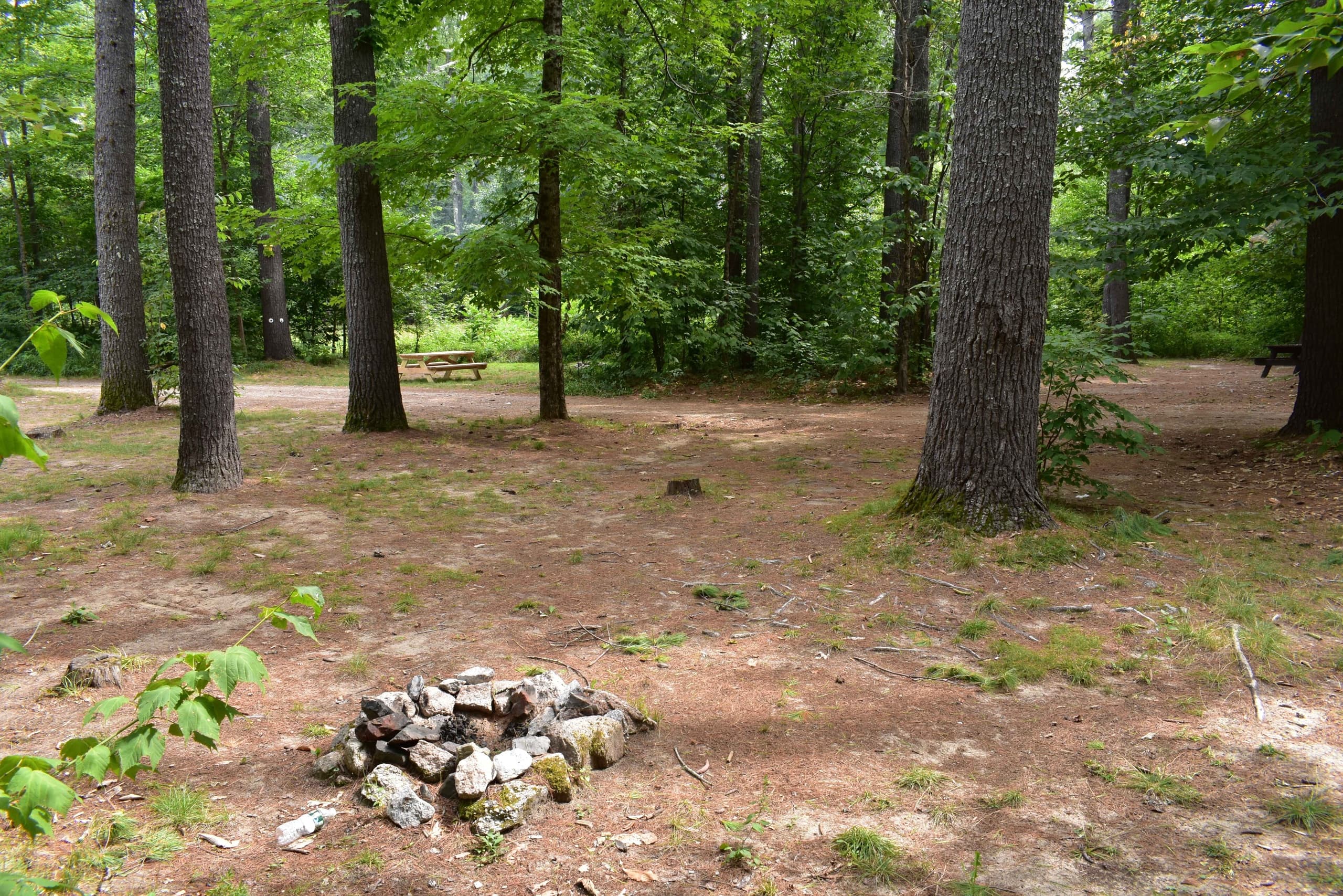 Water Activities at Canal Bridge Campground