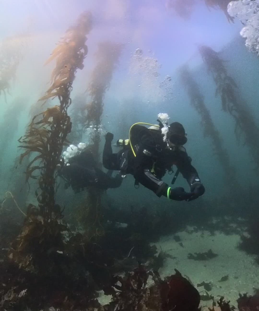 Central Coast Scuba team