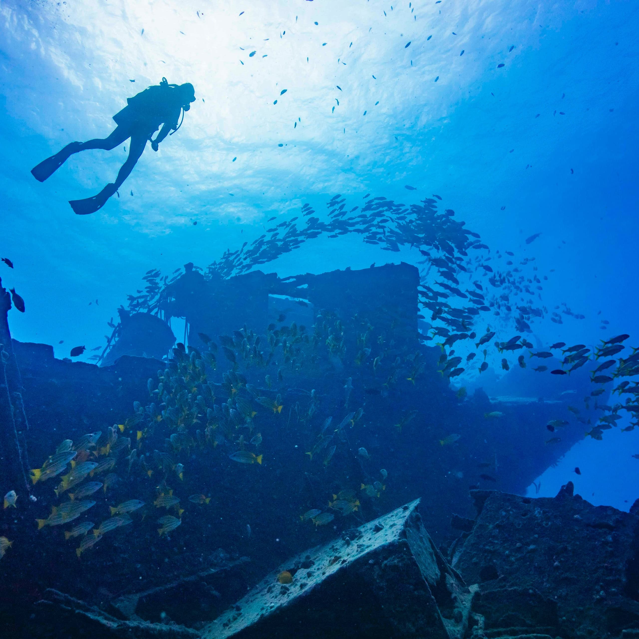 Scuba diver exploring vibrant shipwreck teeming with fish in deep blue sea