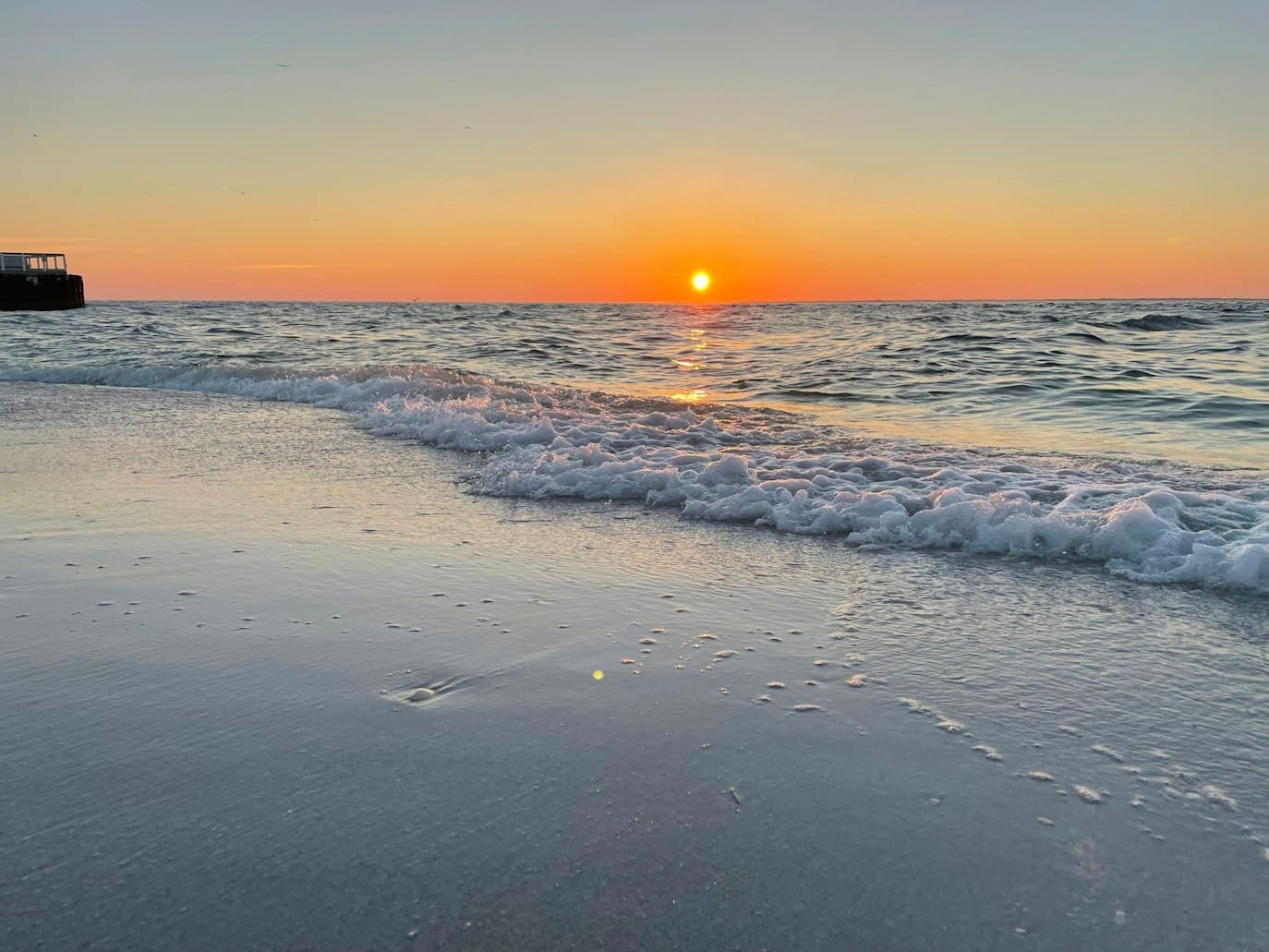 Island Shelling & Beach Trips with Fish and Trips FL in Hudson