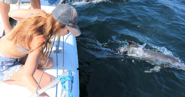 Sailing Moby’s 4 Hour Cruise in Destin: Dolphin & Crab Island Adventure