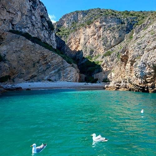 Water Activities at Praia da Baleeira with Blue Coast Tours Sesimbra