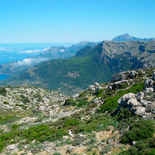 Panoramic coastal mountain hiking view in Mallorca, summit vista