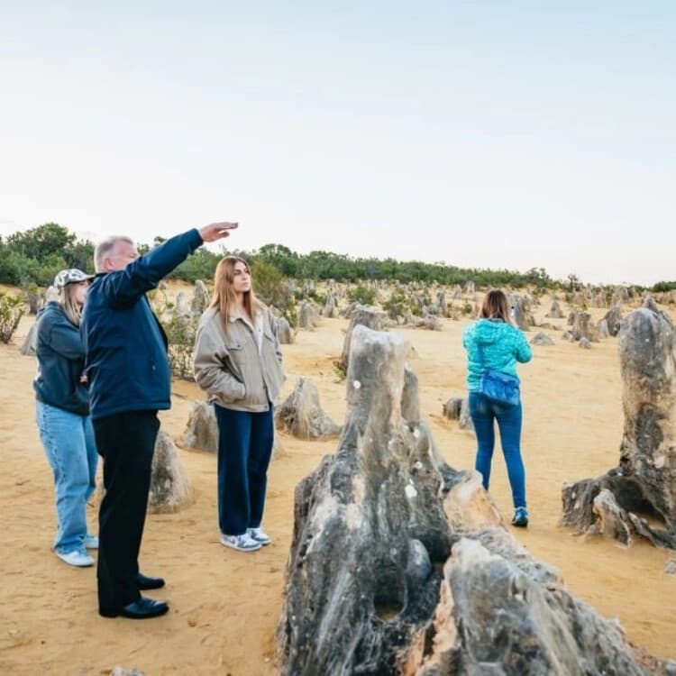 Pinnacles, Lobster & Sandboarding: Full-Day Wildlife and Wine Tour from Perth