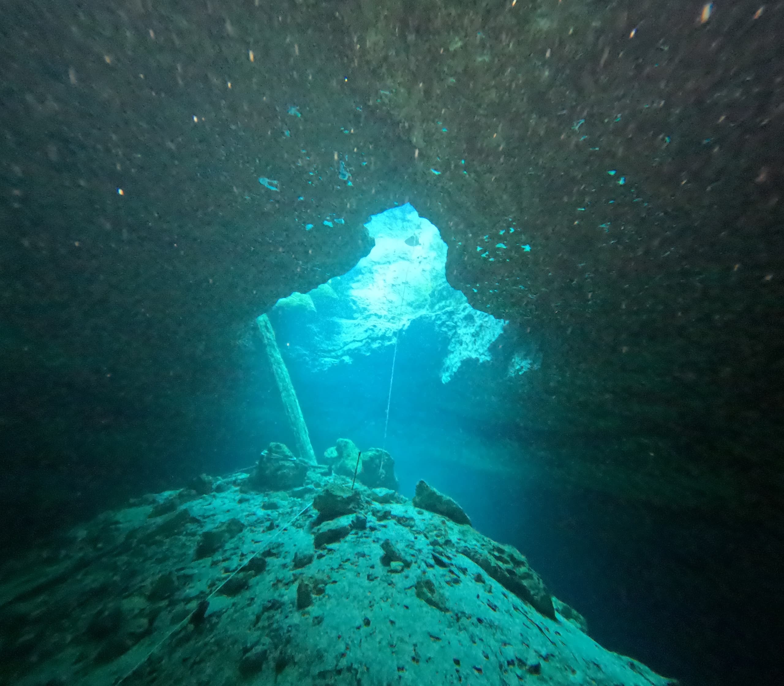 Paradise Springs: Cavern Dives Through Ocala’s Fossil-Bearing Limestone photo 2
