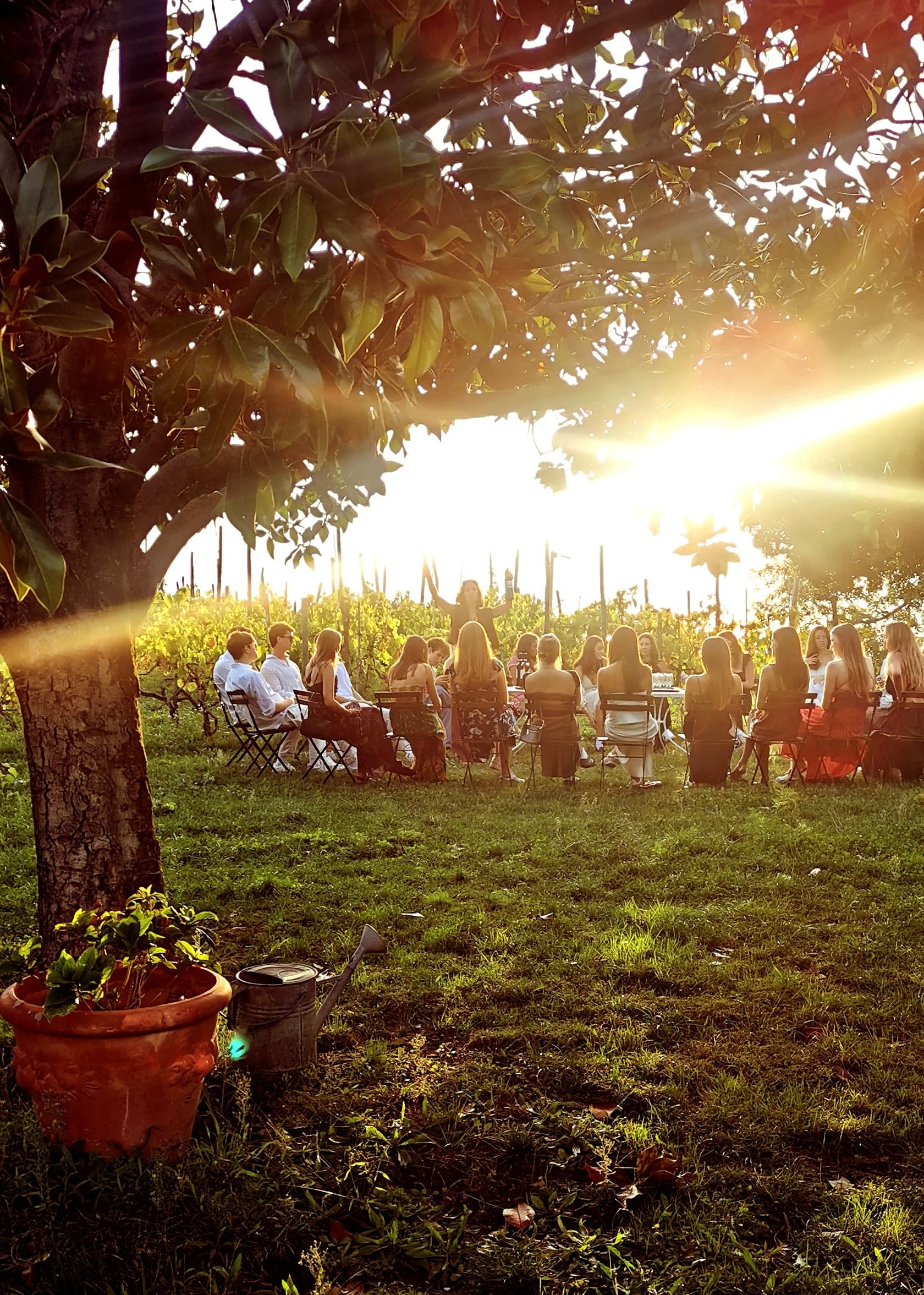 Minardi Frascati Winery team
