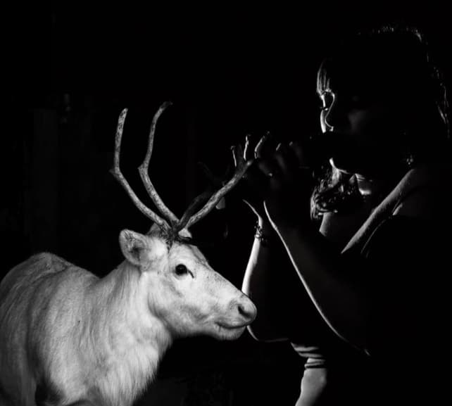 Festive Evening at Somerset Reindeer Ranch: Carols, Reindeer & Fireside Treats photo 1