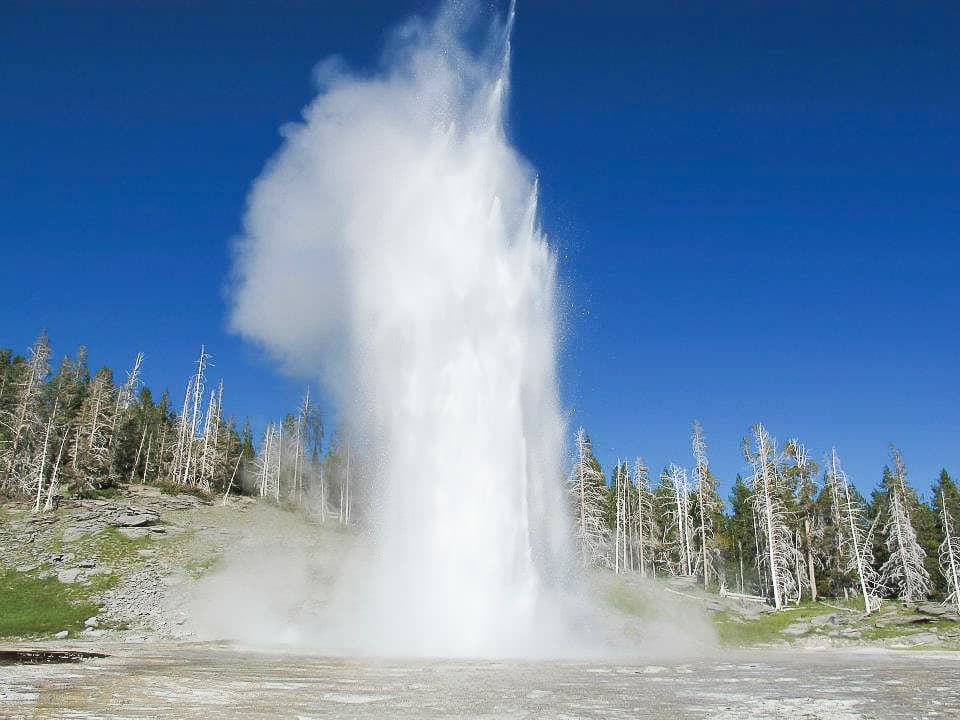 Geyser erupting against blue sky in Yellowstone thermal basin