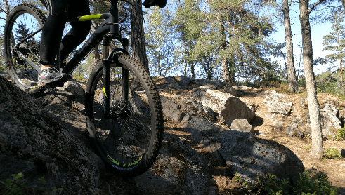 Mountain Biking with True Nature Sweden AB in Kiruna's Forests