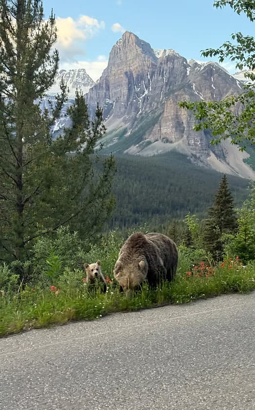 Moraine Lake & Lake Louise Evening Tour: Twilight Lakes and Dusk Wildlife in Banff