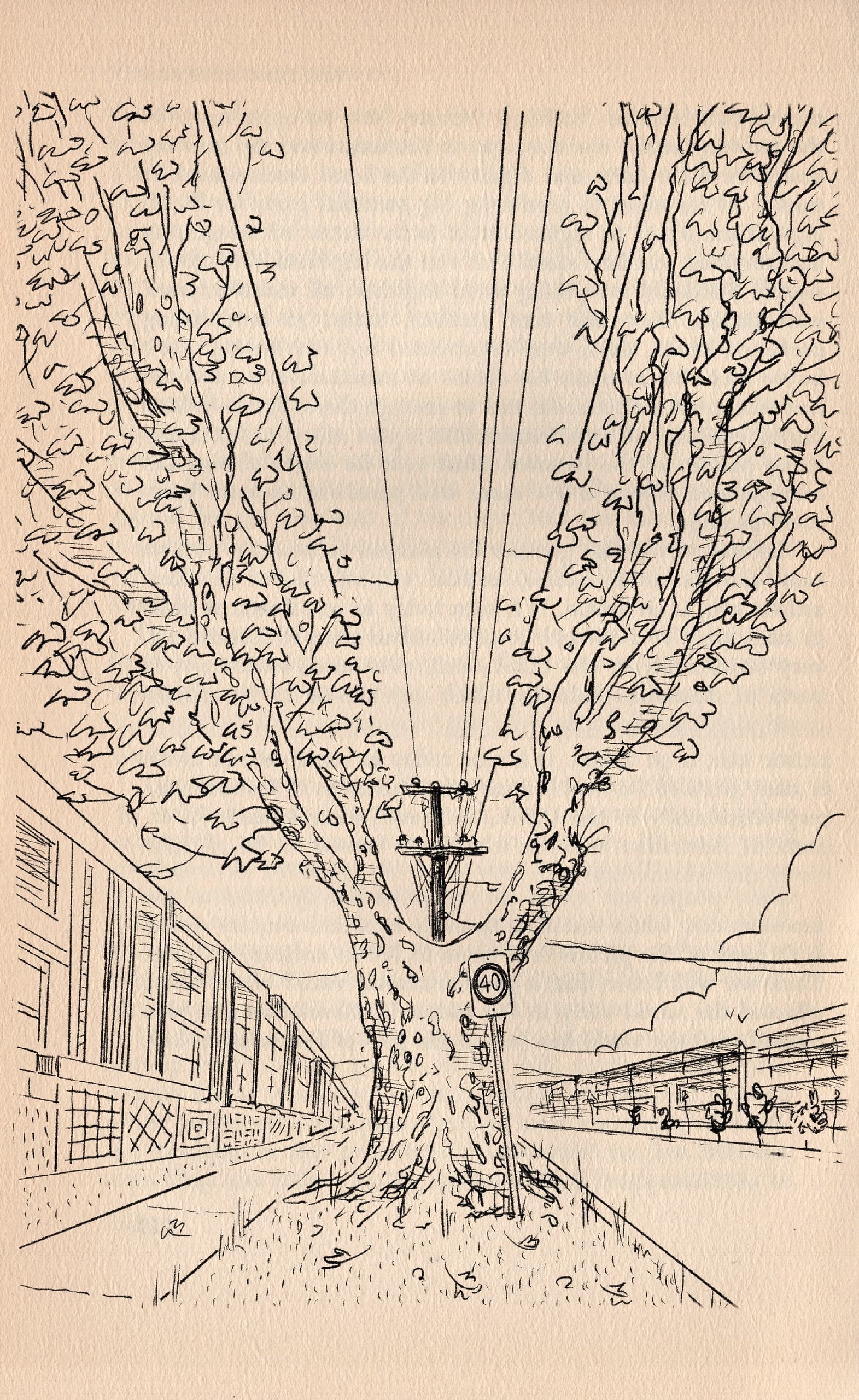 Sketch Walsh Street: Drop-in Drawing with Oslo Davis at the Robin Boyd Foundation