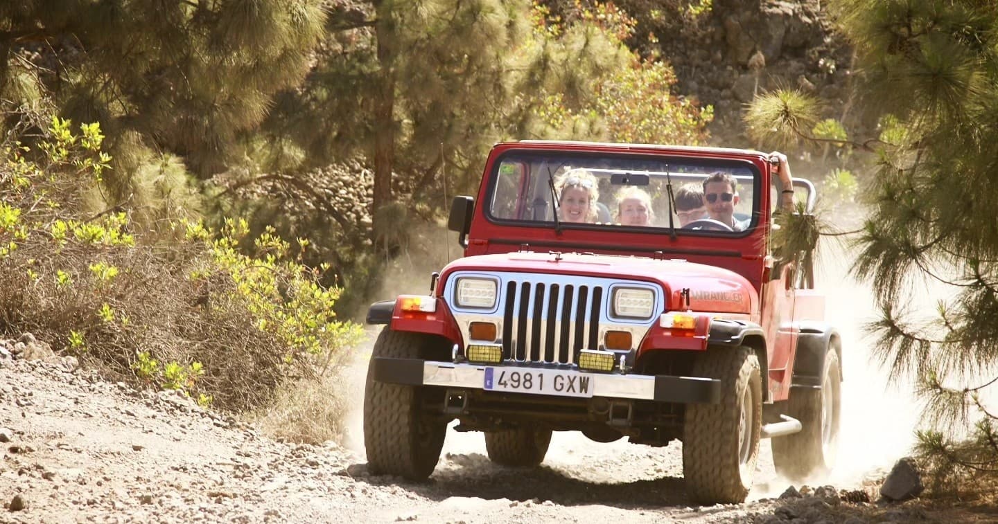 Red Jeep kicking dust on rugged dirt trail through pines