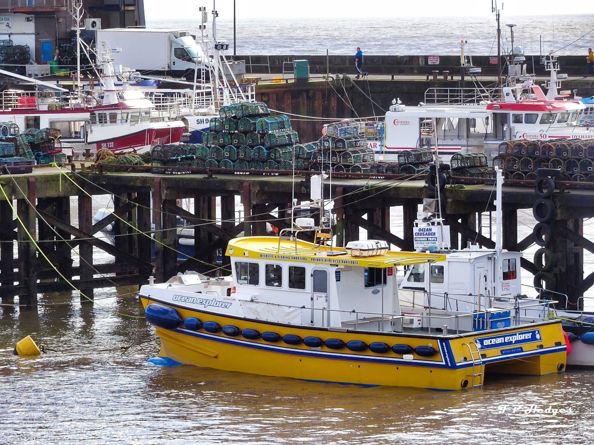 Offshore Views and Seabird Drama: Flamborough Head Coastal Cruise from Scarborough photo 1