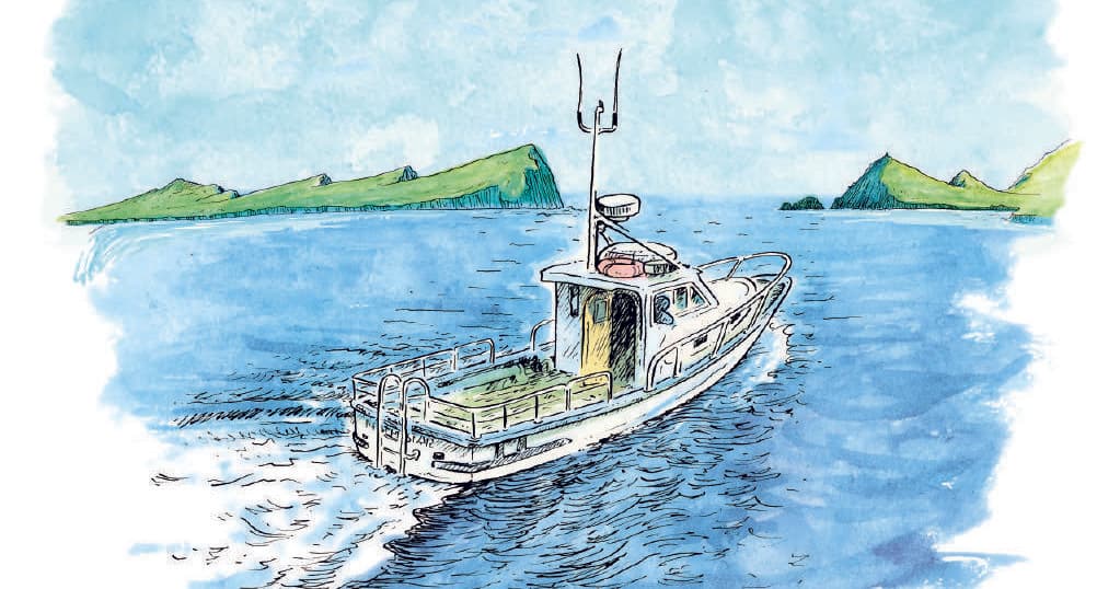 Experience Thrilling Half Day Fishing Trips in Dingle Bay, County Kerry