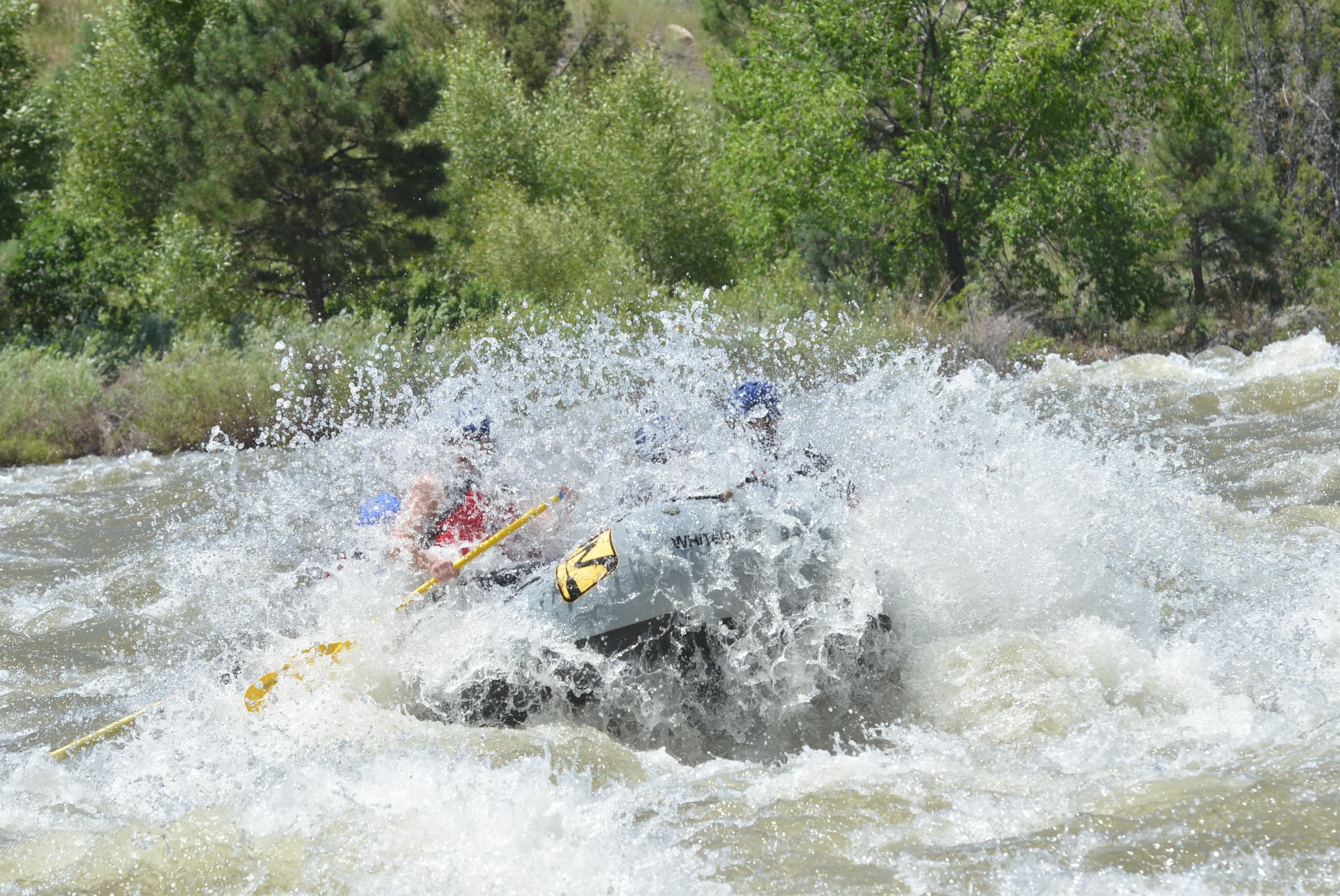 River Rafting & Whitewater Adventure at Bighorn Sheep Canyon