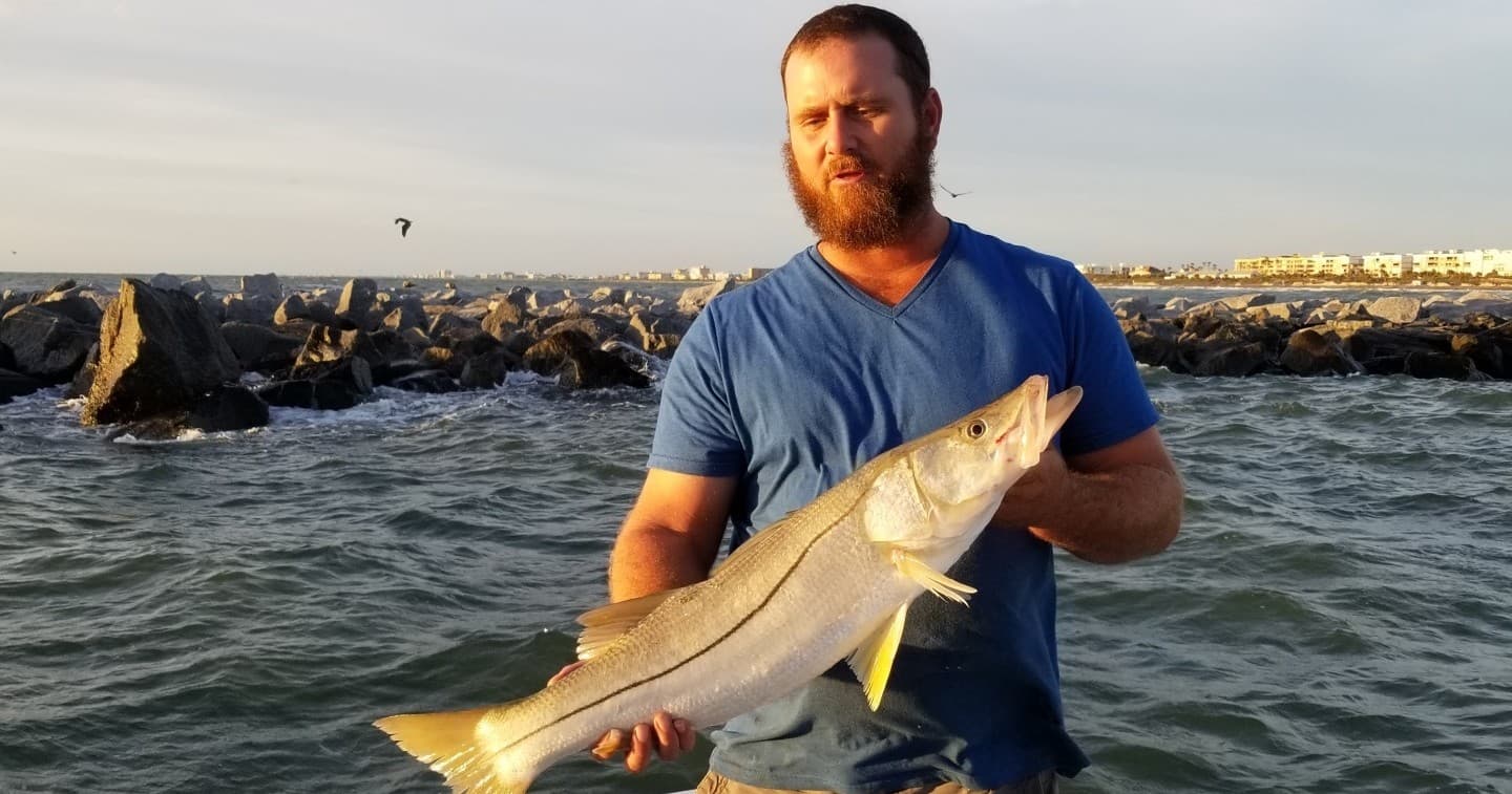 Angler holding large snook by rocky shoreline at sunset