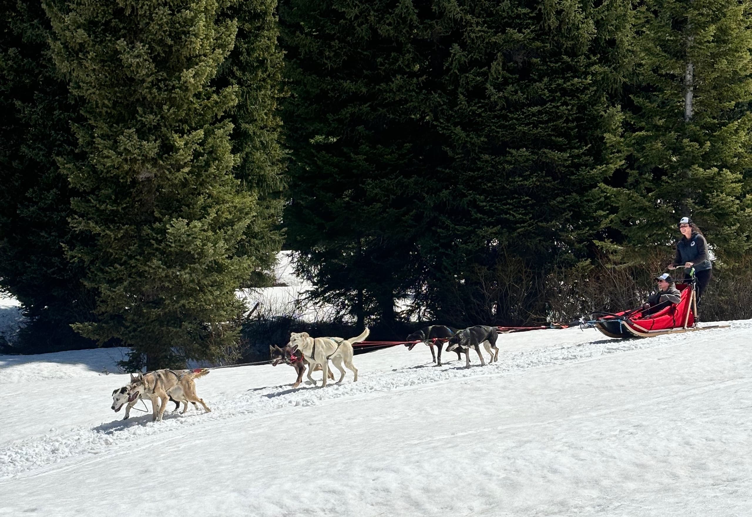 Call of the WYld Dogsled Tours team