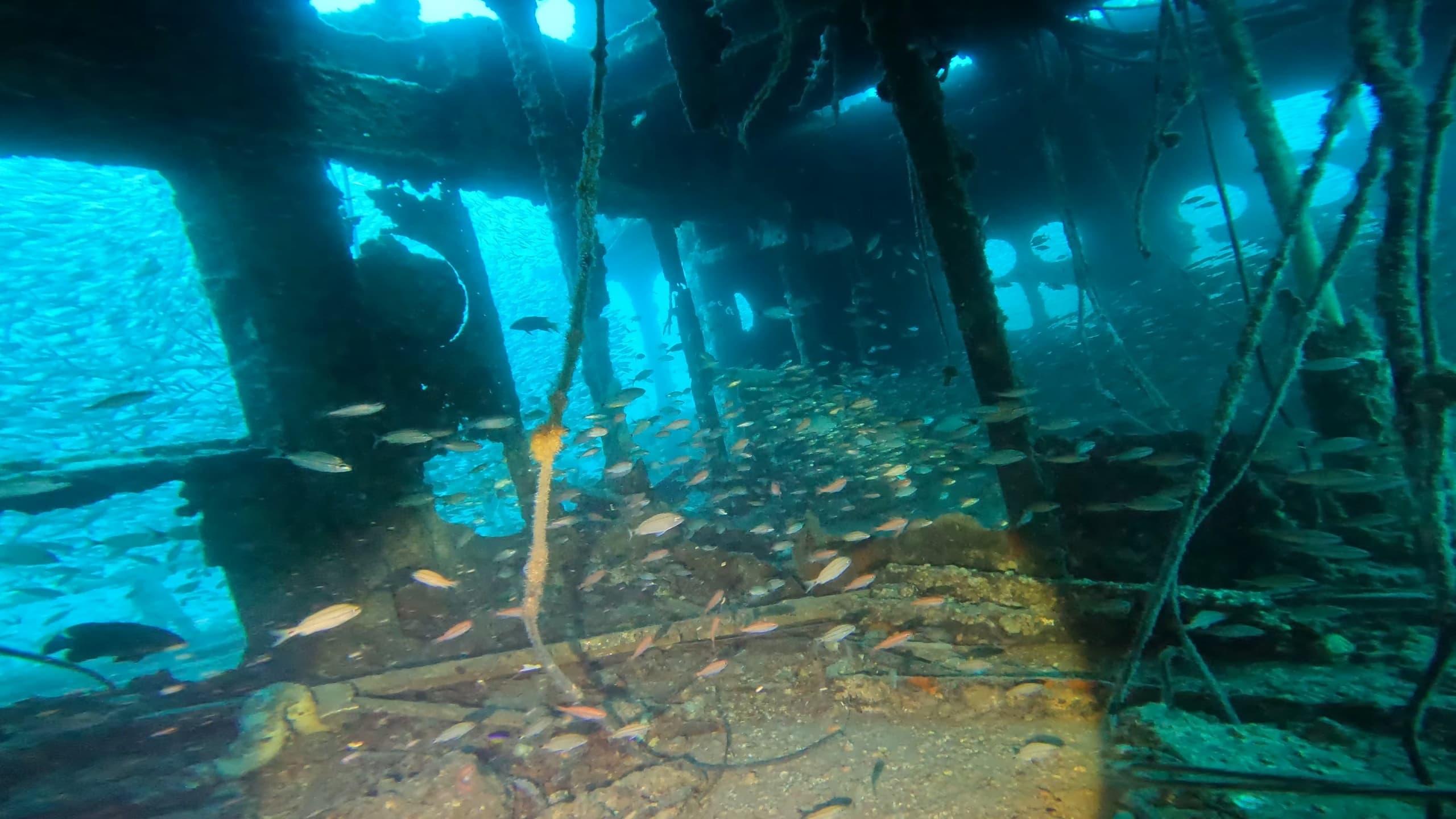 Scuba Diving with Whole Other World Scuba LLC | Offshore Adventures