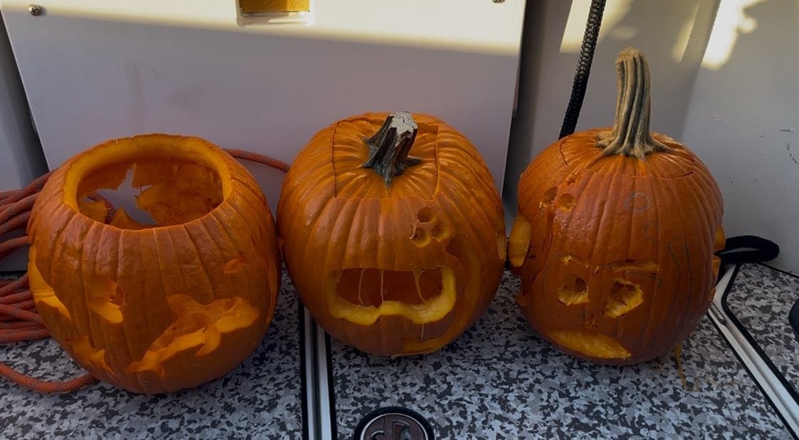 Pumpkins & Reef Balls: Hernando Beach Halloween Dive photo 2