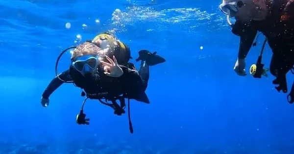 Diving Initiation with Barbarian Diving in Los Cristianos