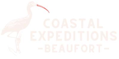 Wildlife & Birding Adventure at St. Phillips Island with WOB